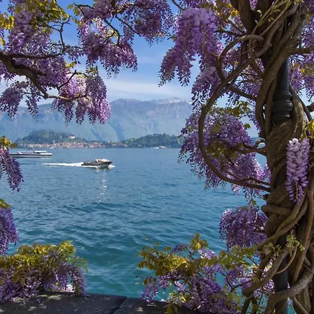 Degli Oleandri 6a アパート アルジェーニョ